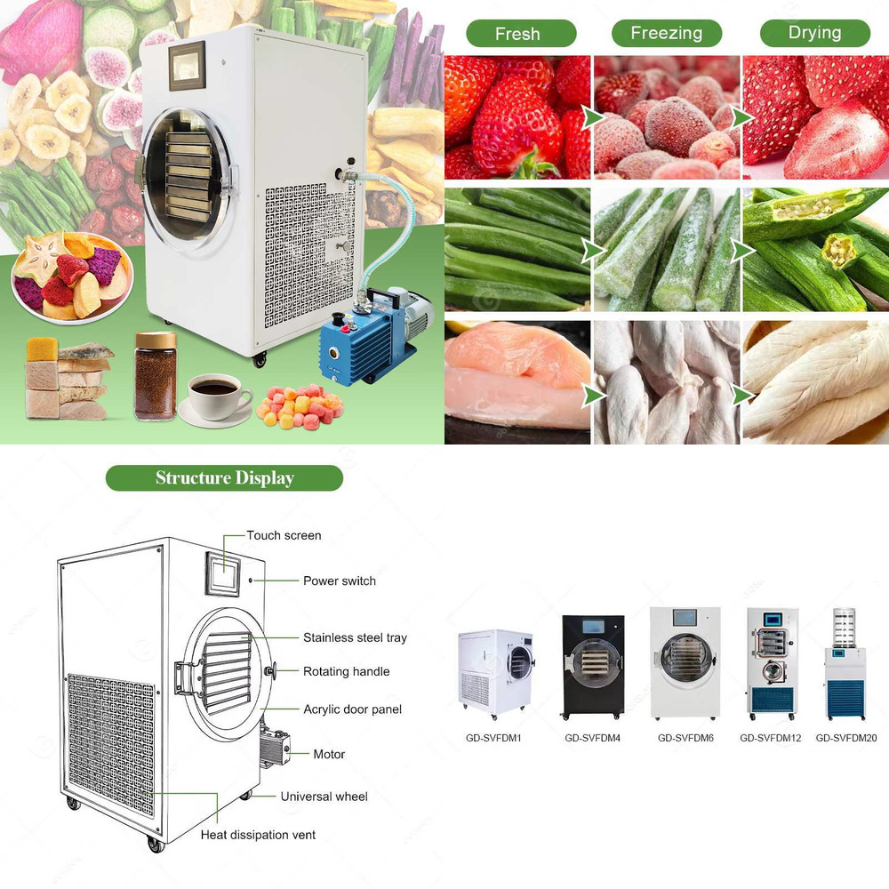 Pengering Beku Mini Liofilizad - Dried Fruit ulasan dan harga